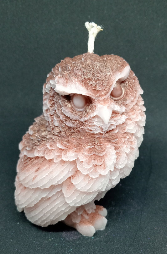 Owl candle